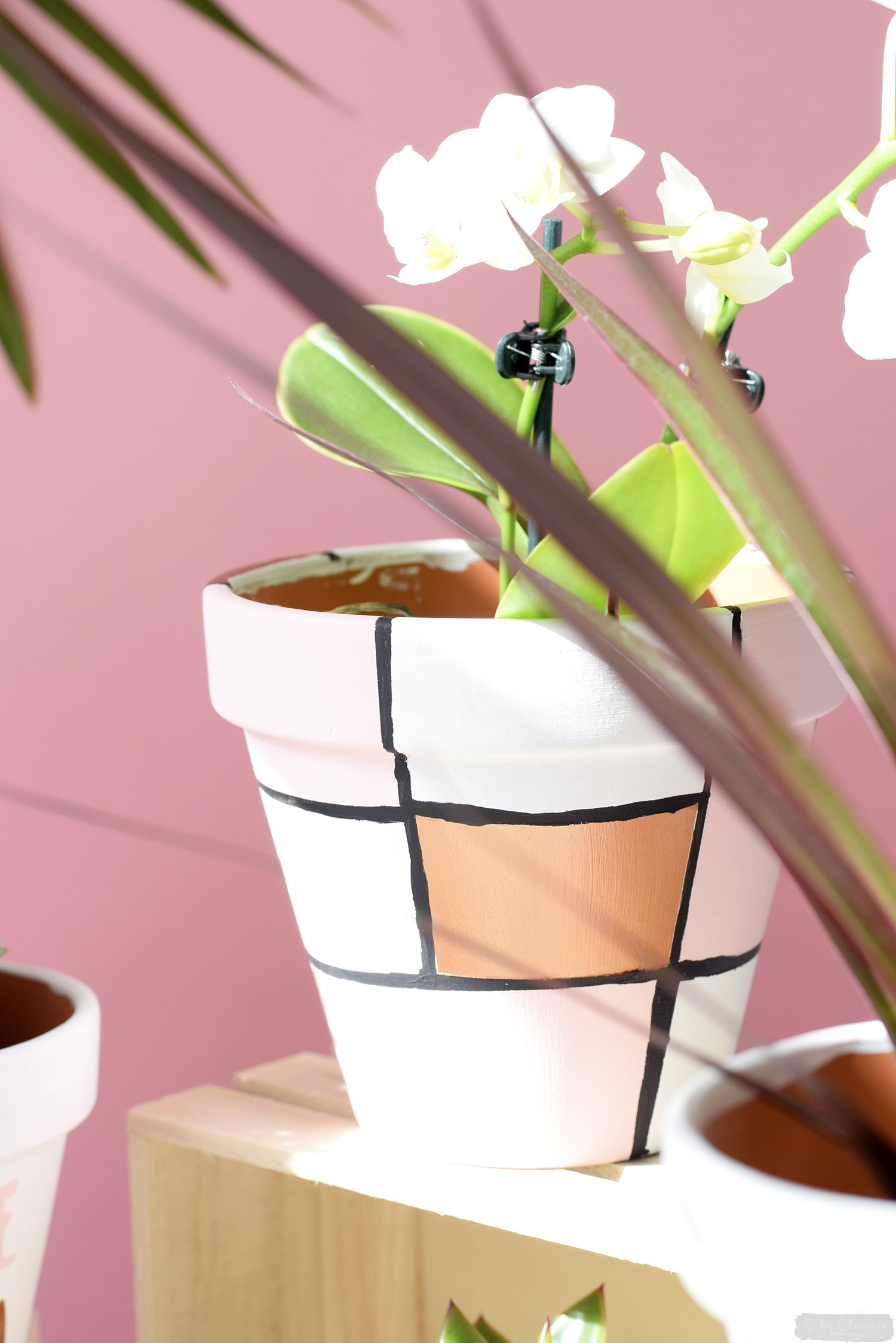 DIY déco : comment customiser des pots de fleurs ? - Magazine Avantages