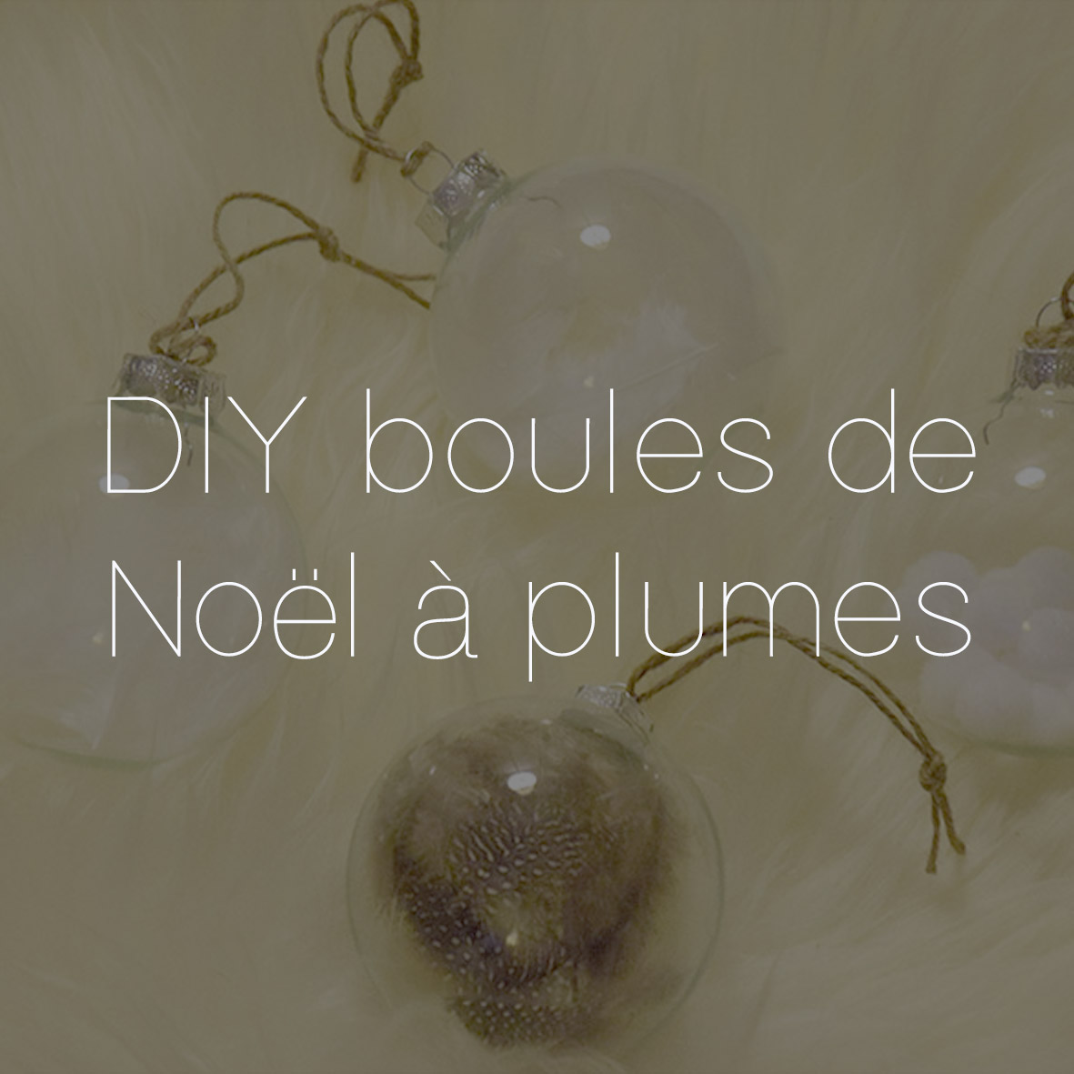 8 DIY BOULE NOEL PLUMES